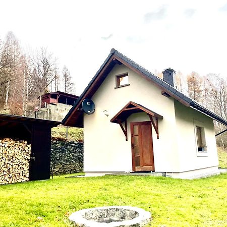 Вилла Hoya Hoya Мендзыбродзе-Бяльске Экстерьер фото
